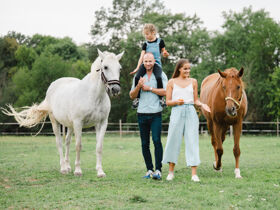Relaxurlaub in Sárvár mit Botanischem Garten & Halbpension | 2 Nächte
