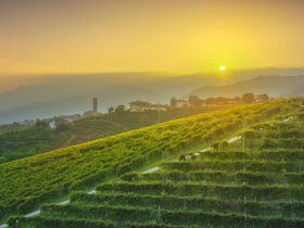 Special 1 Nacht geschenkt - Kulinarikreise durch Venetien | 4 Nächte