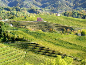 Special 1 Nacht geschenkt - Kulinarikreise durch Venetien | 4 Nächte