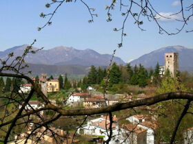 Special 1 Nacht geschenkt - Kulinarikreise durch Venetien | 4 Nächte