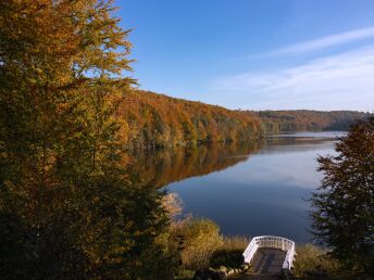 Bild 15 von 19
