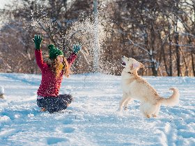 Ruhiger Silvesterurlaub mit Hund | 6 Nächte