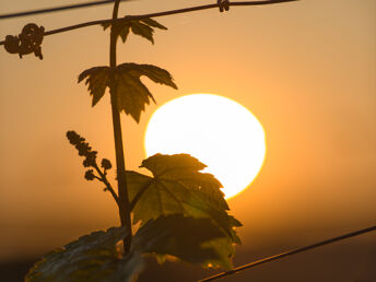 Bild 24 von 28