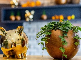 4 Tage Kurzurlaub - Auszeit vom Alltag  mit 3 Übernachtungen