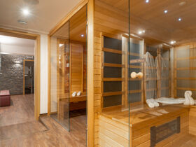 Wellness-Special: Urlaub in Sárvár mit Eintritt zur Therme | 5 Nächte