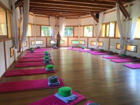 FASTEN - Kraft und Leichtigkeit durch Yoga & Fasten 