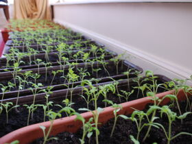 Urlaub in Landgut Wiejce | 2 Tage