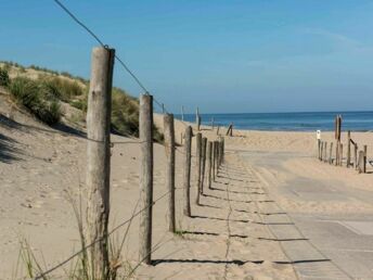 Bild 28 von 36