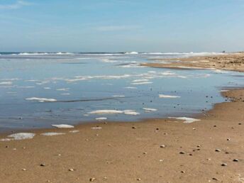 Bild 30 von 36