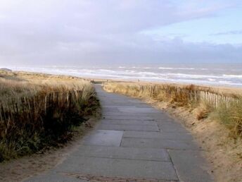 Bild 32 von 36