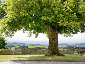 Bild 13 von 37