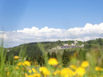 Bild 8 von 37
