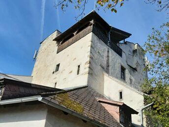 Bild 12 von 37