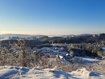 Bild 37 von 37