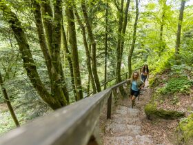 Lazy Sunday | Kurze Auszeit vom Alltag