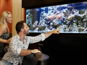 Langes Wochenende inkl. Massage und Halbpension