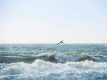 Bild 30 von 34