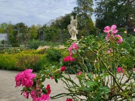 Besinnliche Adventtage in Baden – Entspannung im Apartment inkl. VIP Card | 1 Nacht