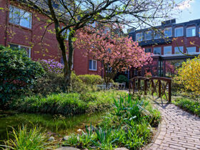 Reise in das grüne Abenteuerland | 3 Tage