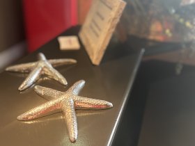 Herzlich Willkommen an der Ostseeküste in Göhren