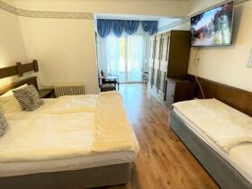 Romantischer Wellnessurlaub - 3 Tage im Nationalpark Harz 