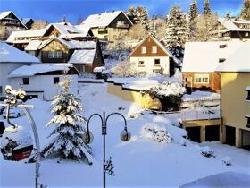Romantischer Wellnessurlaub - 3 Tage im Nationalpark Harz 