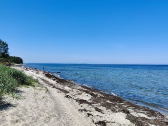 Ihr lang­ersehnter Urlaub auf Poel inkl. Halbpension