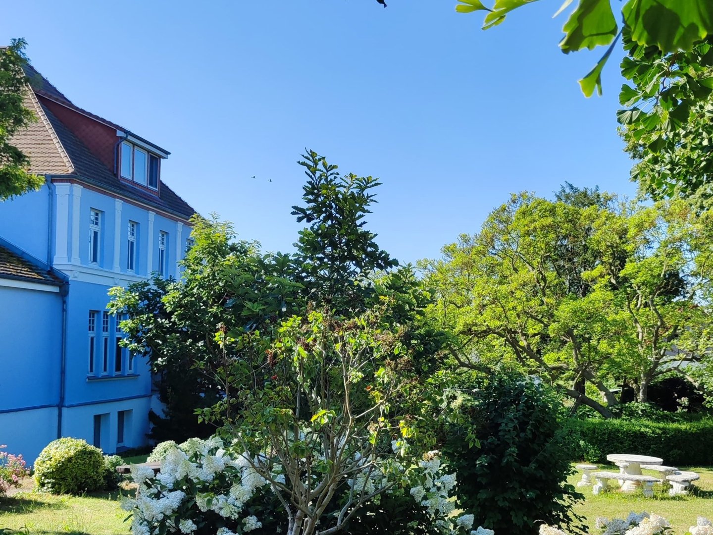 Ihr lang­ersehnter Urlaub auf Poel inkl. Halbpension