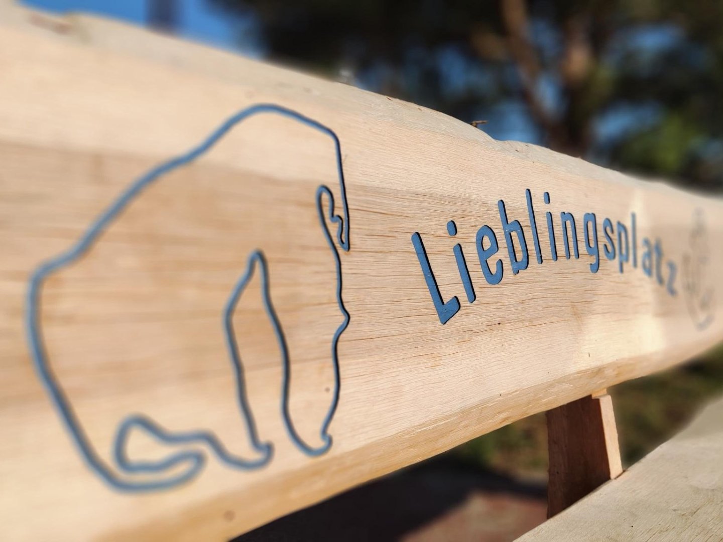 Ihr lang­ersehnter Urlaub auf Poel inkl. Halbpension