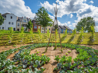Essbare Stadt genießen | 6 Tage inkl. Halbpension