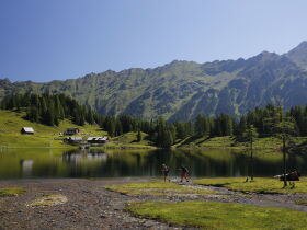 Gemütliche Tage inkl. Sauna in der Region Schladming Dachstein erleben / 4 Tage