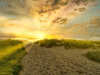 5 Tage  Maritime Auszeit - Das Weltnaturerbe Wattenmeer erleben  
