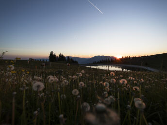 Bild 20 von 27