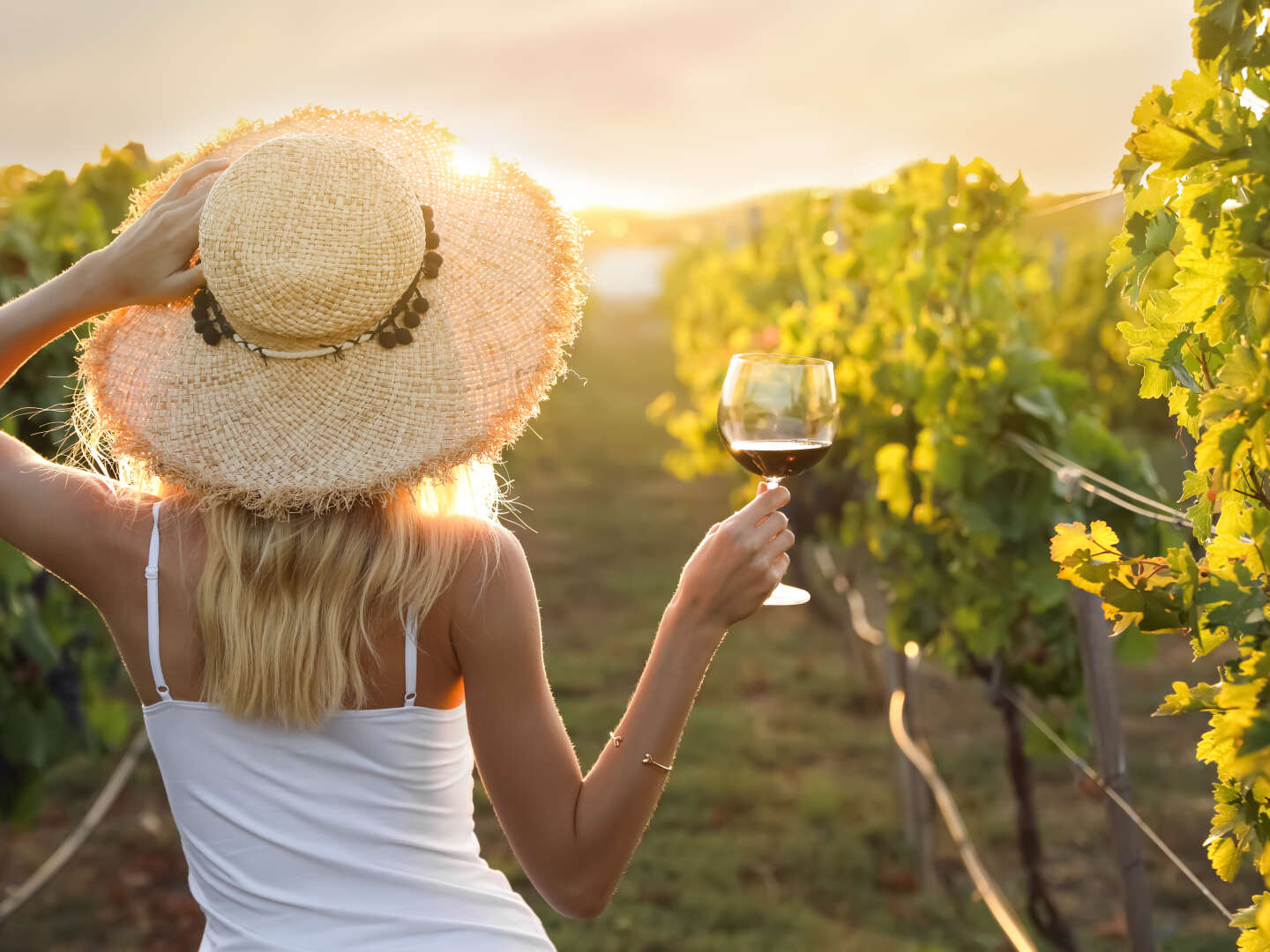 Kulinarikreise in Slowenien mit Verkostung von Wein & Olivenöl | 5 Nächte