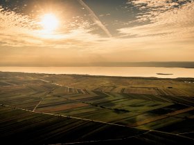 Kurzurlaub in der Region Neusiedler See inkl. Weinverkostung | 1 Nacht