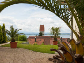 Frühlingserwachen am Bodensee inkl. Schifffahrt - 7 Tage