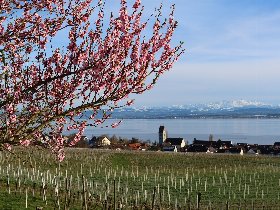OSTERN am Bodensee 