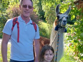 Radfahren im Südburgenland inkl. Verkostung sowie Rabatt auf E-Bike-Verleih & Therme