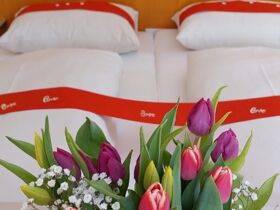 Radfahren im Südburgenland inkl. Verkostung sowie Rabatt auf E-Bike-Verleih & Therme