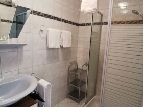 Radfahren im Südburgenland inkl. Verkostung sowie Rabatt auf E-Bike-Verleih & Therme