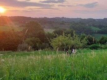 Erholungurlaub im Südburgenland inkl. Burgenland Card | 2 Nächte