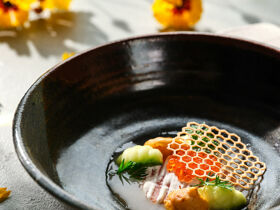 -10% SPECIAL - Schlossromantik in Slowenien 2025| 4 Nächte