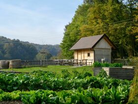 -10% RABATT - Fitnessurlaub in Slowenien inkl. Halbpension | 7 Nächte