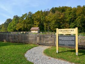 -10% RABATT - Fitnessurlaub in Slowenien inkl. Halbpension | 7 Nächte