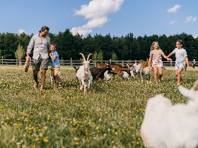 All Inklusive Wellnessauszeit für die ganze Familie im Reiters Finest Family Bad Tatzmannsdorf |