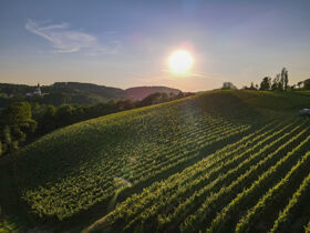 Kurzurlaub mit Wohlfühlgarantie im Thermen- & Vulkanland Steiermark | 7 Nächte  