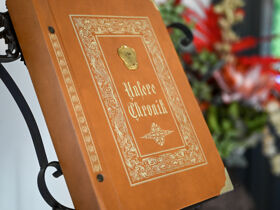 Kurzurlaub mit Wohlfühlgarantie im Thermen- & Vulkanland Steiermark | 7 Nächte  