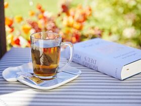 Einfach mal vorbeischauen im Allgäu 