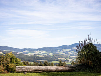 TOP-Wellness Schnäppchen - adults only im Südburgenland | 3 Nächte