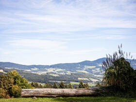 Zeit zu Zweit im Wellness- & Genusshotel im Südburgenland